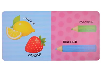 Набор картонных книг "Обучающие": Азбука. Большой и маленький. Такой разный транспорт. Изучаем цвета (комплект из 4 книг) - фото 3