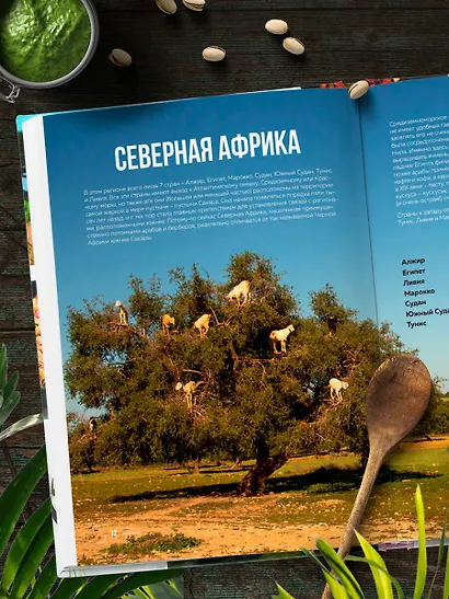 Кулинарная география. 90 лучших семейных ужинов со всех концов света - фото 11