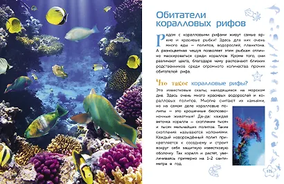 Животные. Большая детская энциклопедия - фото 9