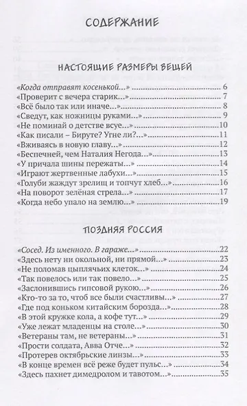 Пешеходная голубка - фото 2