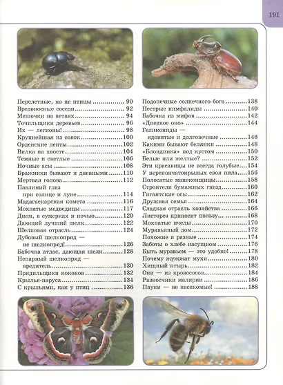 Насекомые - фото 3