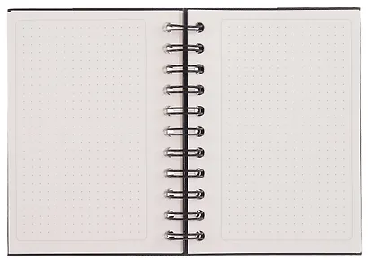 Книга для записей А5 100 листов в точку, на спирали, черная, Schiller - фото 4