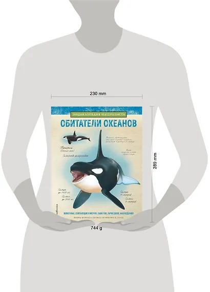 Обитатели океанов - фото 4