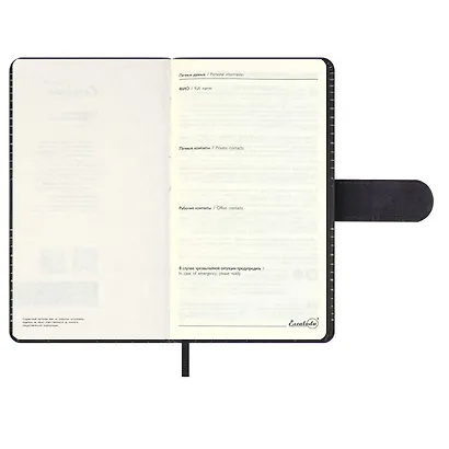 Ежедневник недат. А6+ 120л 110x190 "Тиволи" черный, кожзам, тв.переплет, тисн.фольгой, магнит.клапан, офсет, загругл.углы, справ.мат-лшы, ляссе, инд.уп - фото 9