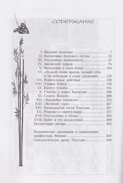 Последний сёгун - фото 3