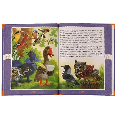 Сказки - фото 4