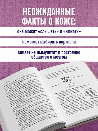 Что скрывает кожа. 2 квадратных метра, которые диктуют, как нам жить - фото 5