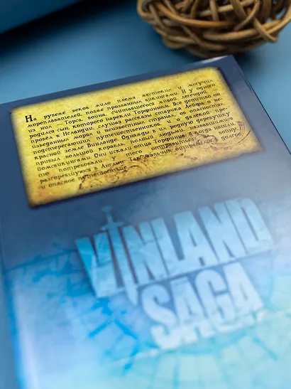 Сага о Винланде. Книга 1 (Том 1, 2) (Vinland Saga). Манга - фото 10