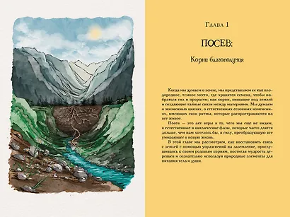 Гримуар благополучия. Как найти опору внутри и жить без тревог - фото 6
