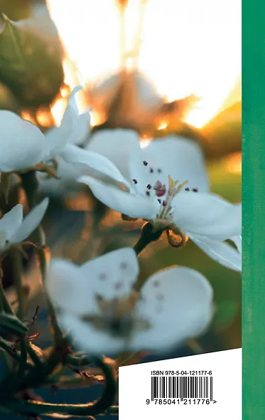 Вчера еще в глаза глядел... - фото 2