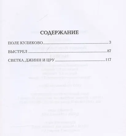 Выстрел - фото 3