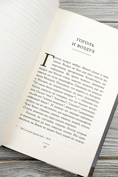 Гоголиана. Фантасмагория в тринадцати новеллах - фото 11