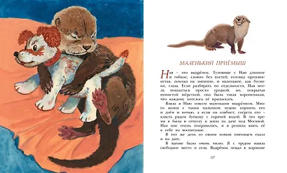 Фомка - белый медвежонок - фото 13