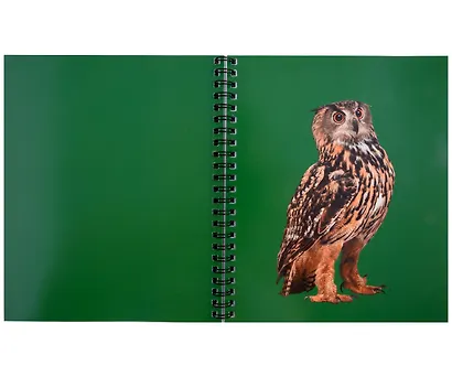 Тетрадь 96л кл. "Зоо микс" гребень, мел.картон, выб.лак. 2-я обложка-разделитель: мел.картон, ассорти - фото 8