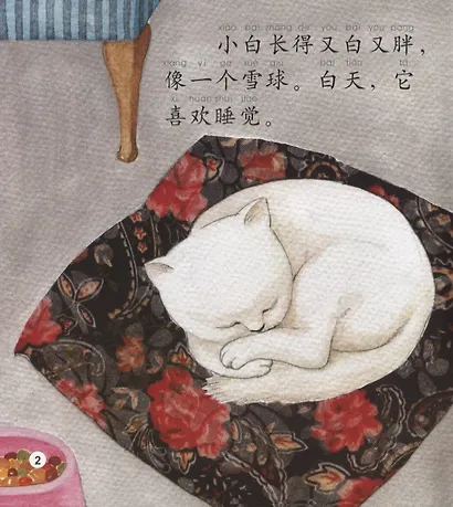 Beginners Level: Two Little Cats/ Начальный уровень: Два котенка - Книга с CD - фото 3