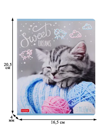 Тетрадь в клетку Hatber, "По имени Мяу", 48 листов, в ассортименте - фото 2