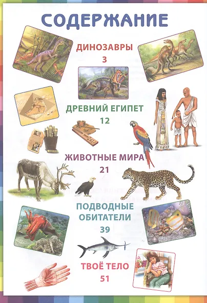 Детская книга обо всем на свете. Энциклопедия для дошкольников - фото 5