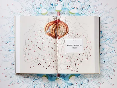 The Art and Science of Ernst Haeckel - фото 2