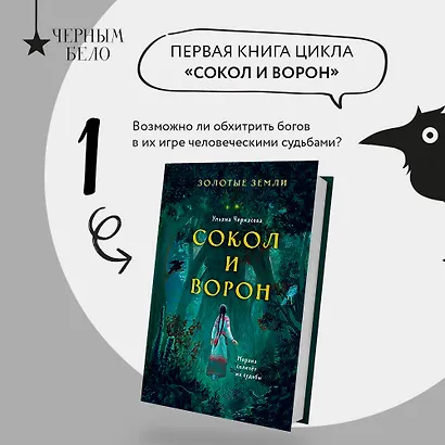 Золотые земли. Сокол и Ворон - фото 4