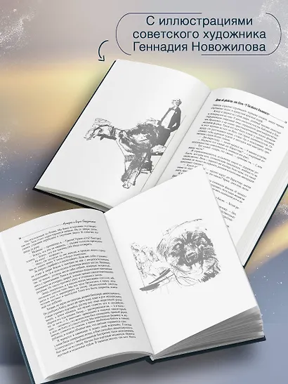 Отель "У погибшего альпиниста" - фото 4