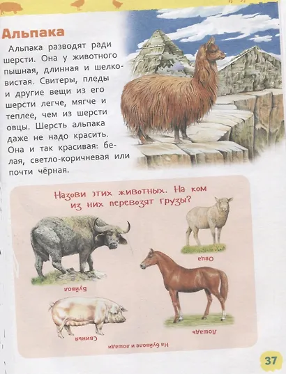 Животные фермы. Энциклопедия для детского сада - фото 5