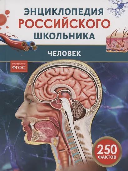 Человек. 250 фактов. Энциклопедия российского школьника - фото 1