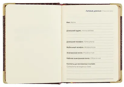 Ежедневник дат. 2026г. А6 176л "Business Premium. Lizard" бордо, 7Б, иск.кожа, обл.поролон, тв.переплет, мет.уголки, тонир.блок, зол.торец, справ.мат-лы, 2 ляссе, инд.уп - фото 3