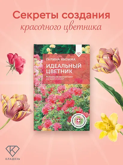 Идеальный цветник. Выращиваем многолетники без забот и хлопот - фото 4