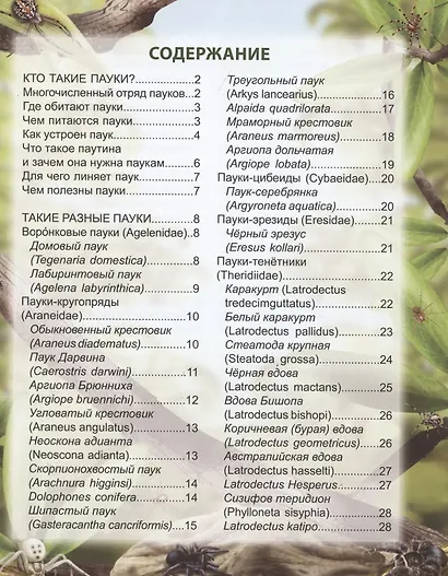 Пауки: энциклопедия - фото 2