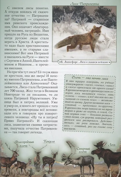 Откуда берутся слова, или Занимательная этимология - фото 5