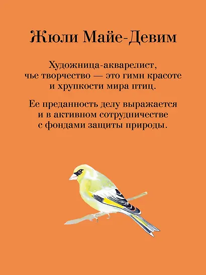 Рисуем акварелью: птицы леса и сада - фото 9