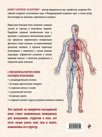 Анатомия человека: большой популярный атлас (новое оформление) - фото 2