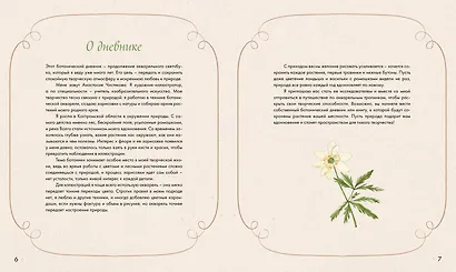 Акварельный лес. Ботанический дневник для любителей природы и акварели - фото 5