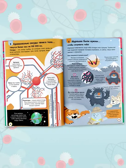 Тело человека - фото 5