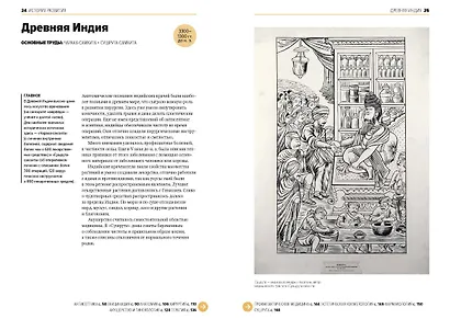 Главное в истории медицины. Хронология, врачи, ученые, открытия. От операций майя до искусственного - фото 4