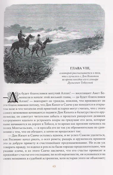 Комплект из 2 книг: Хитроумный Идальго Дон Кихот Ламанчский. Том 1. Том 2 - фото 11