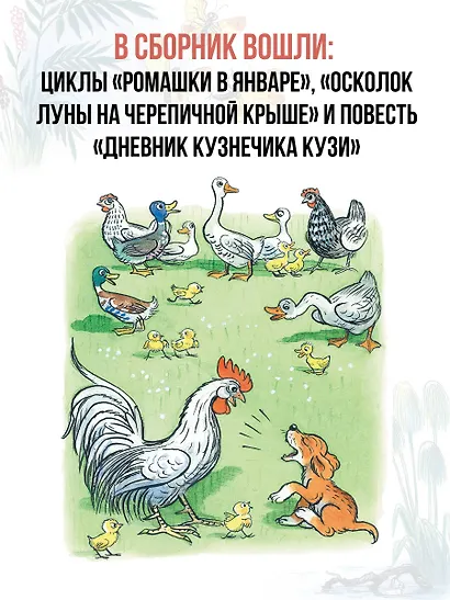 Сказки. Рисунки В. Сутеева - фото 5