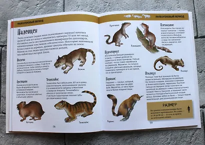 История жизни на Земле. От бактерии до человека - фото 6