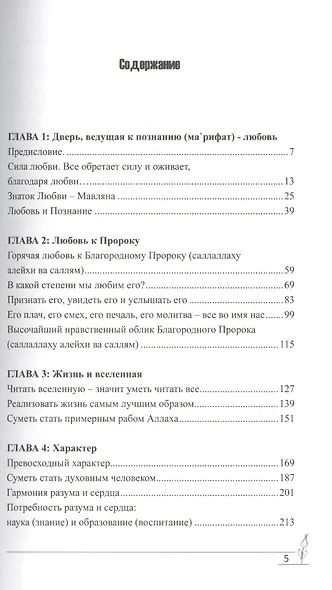 Врата Познания. На встречу утренней заре вечности… - фото 2