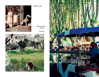 Мои двадцать пять лет в Провансе - фото 5