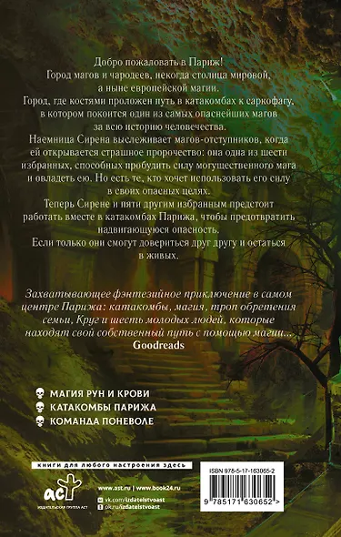 Круг Шести. Руны и кости - фото 2