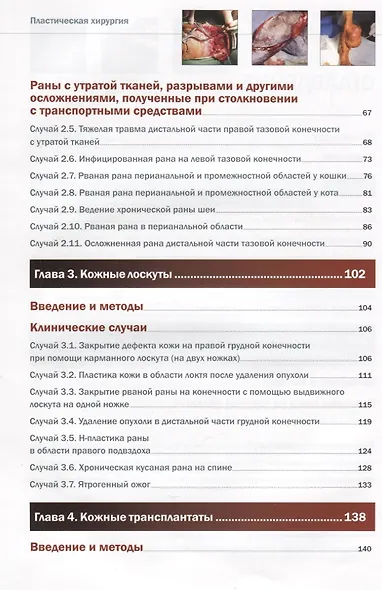 Пластическая хирургия собак и кошек. Клинические случаи лечения ран - фото 3