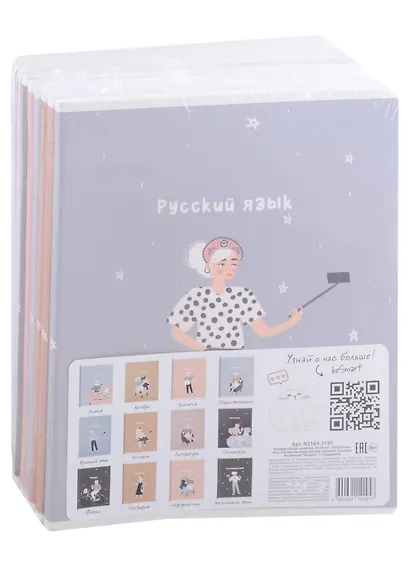 Тетради предметные Be Smart, Blogger, 48 листов, 12 штук - фото 1