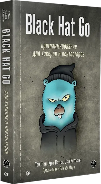 Black Hat Go: Программирование для хакеров и пентестеров - фото 2