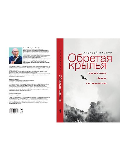 Обретая крылья. Горячие точки. Бизнес. Наставничество - фото 2