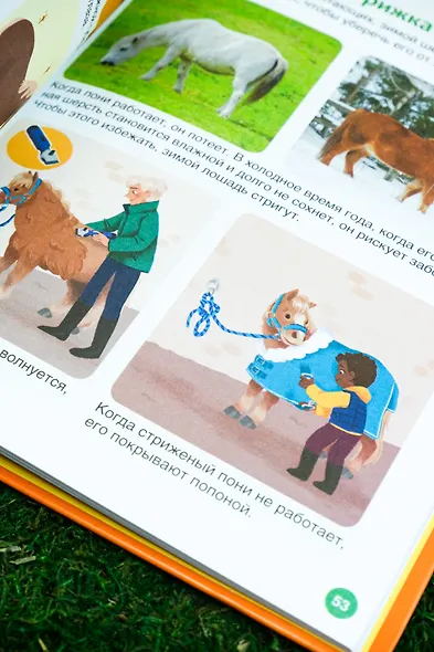 Лошади - фото 11