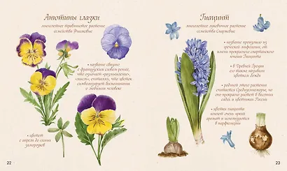 Акварельный лес. Ботанический дневник для любителей природы и акварели - фото 7