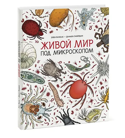 Живой мир под микроскопом - фото 3