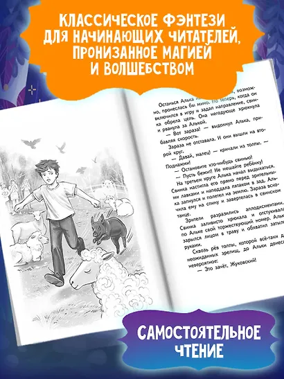 Школа Приручателей - фото 4