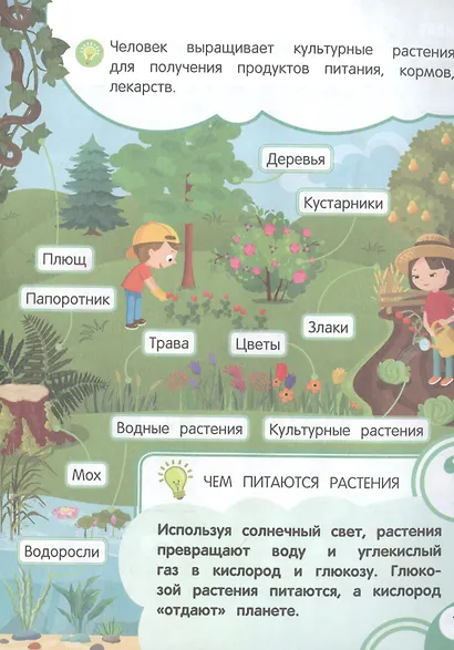 Моя первая книга открытий: для детей от 3-х лет - фото 6